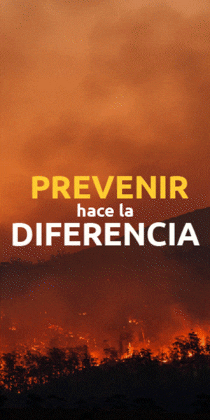 Publicidades